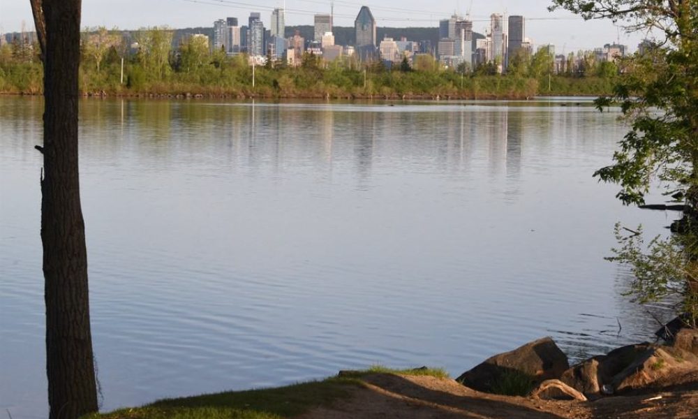 L’érosion des berges fait des ravages sur la Rive-Sud