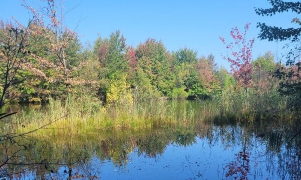 Photo: Ville de Ste-Julie