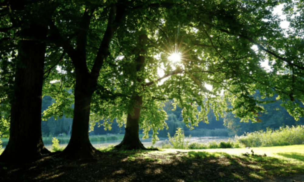 1500 hectares protégés : l’engagement de Catherine Fournier fait réagir Jean-Marc Léveillé