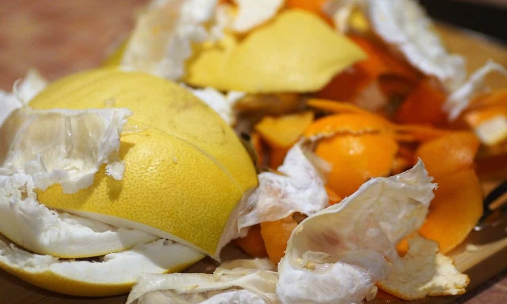 Les maisons unifamiliales, duplex, triplex et immeubles jusqu’à huit logements ont déjà accès à cette collecte à Saint-Bruno. Photo: Pixabay