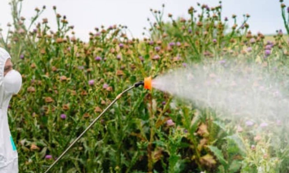 La glyphosate maintenant interdite a Saint-Bruno-de-Montarville