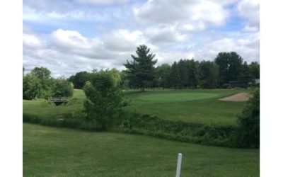 Un parc à chien hivernal à Beloeil 