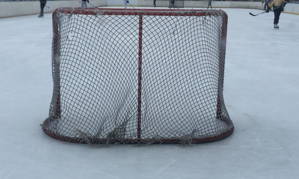 Une nouvelle ligue de hockey fait son apparition