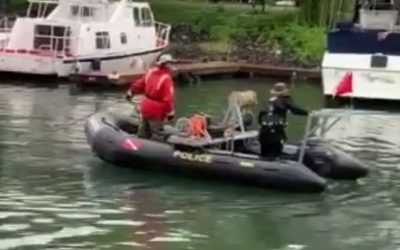 Photo: Dernière heure / Flash news