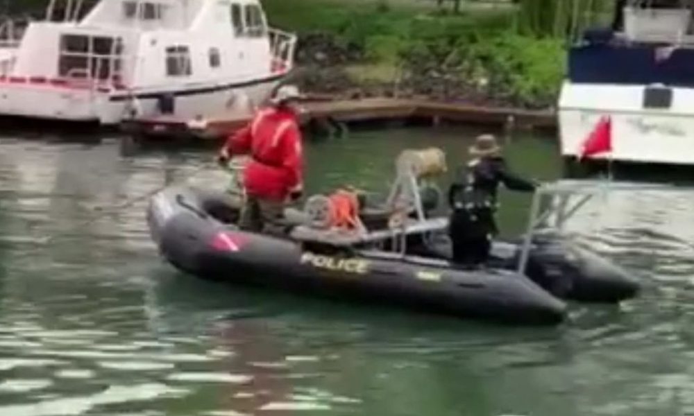 Photo: Dernière heure / Flash news