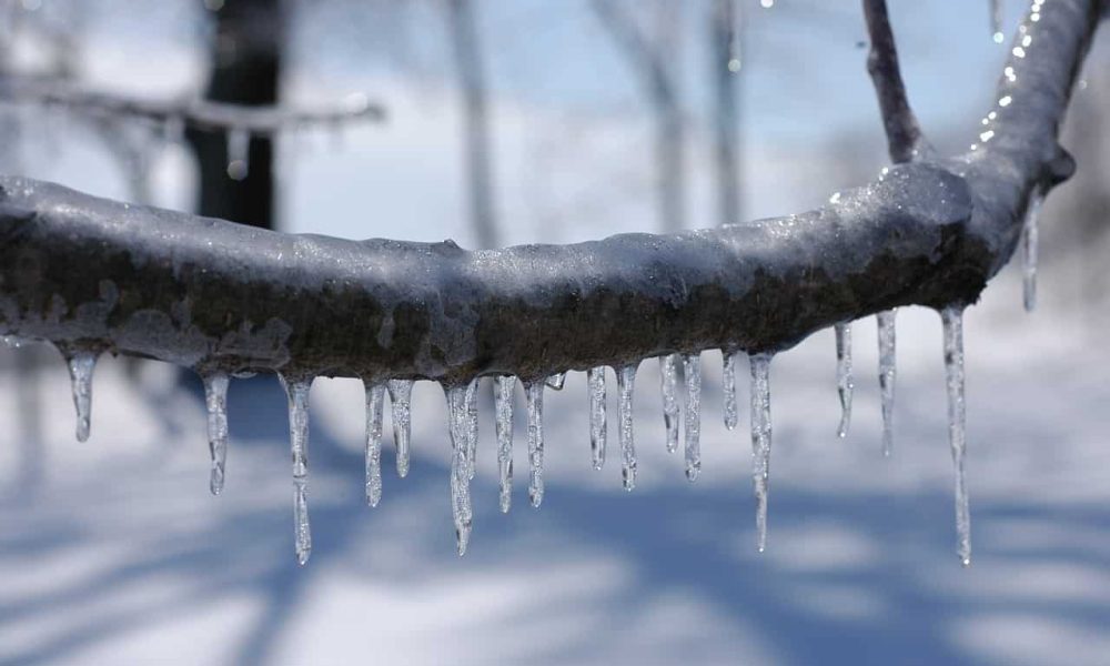 L’accumulation de glace pourrait casser des branches d'arbres et causer des pannes de courant. Photo: Pixabay