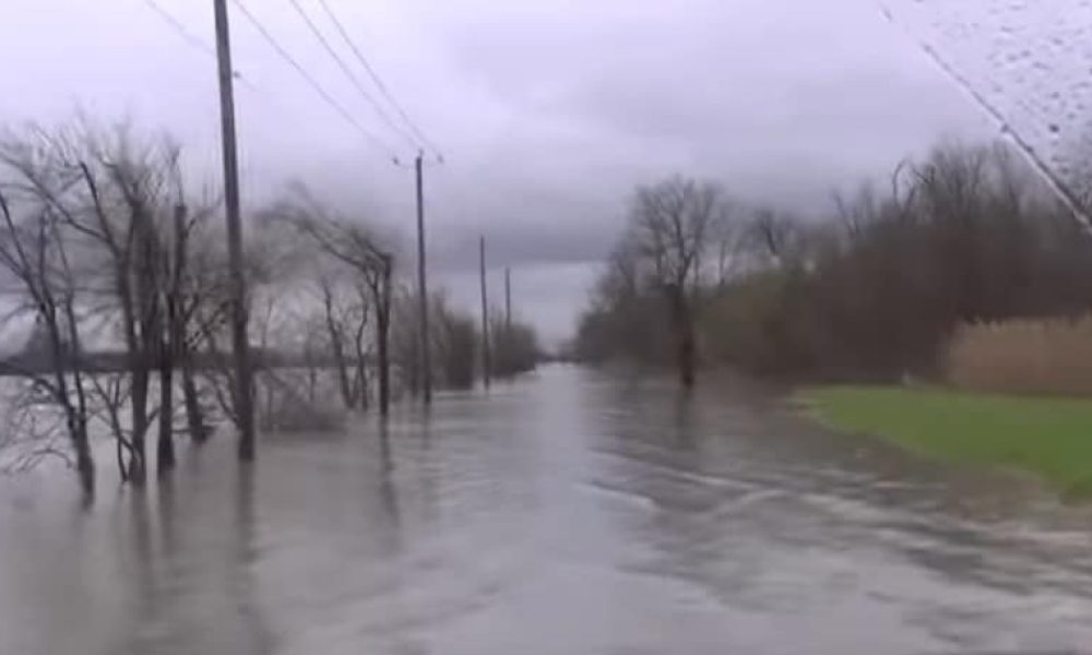 Le Comité Action Citoyenne veut absolument un BAPE pour Northvolt