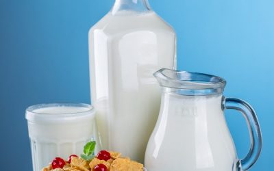 Les Producteurs de lait du Québec pressent les sénateurs d’agir