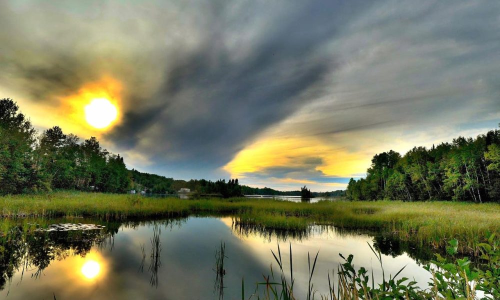 Northvolt ne respecterait pas cinq cibles de l’entente mondiale sur la biodiversité 