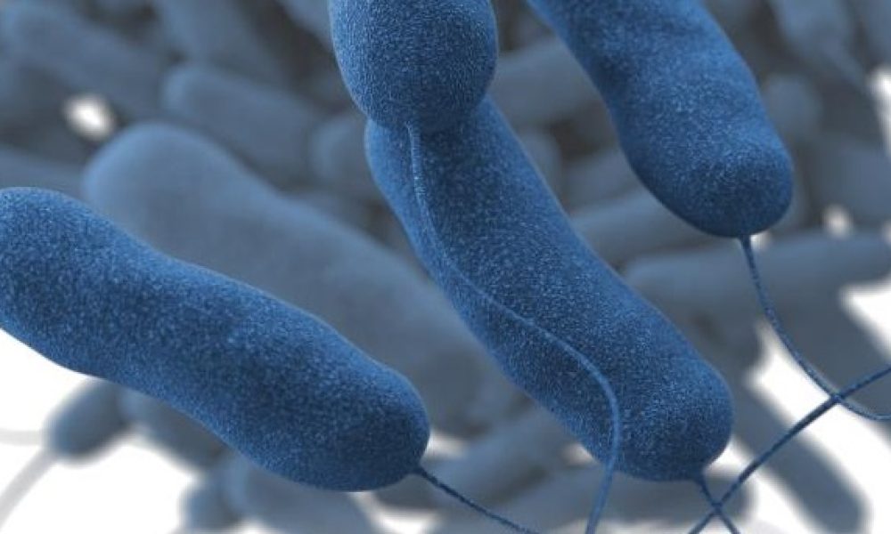 La santé publique rapporte trois cas de légionellose à Sainte-Julie