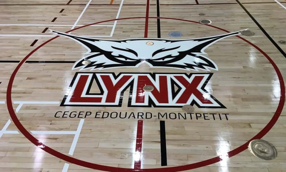 Photo: Lynx du cégep Édouard-Montpetit
