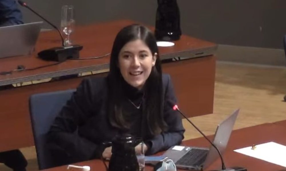 Longueuil devrait compléter la formation des comités et commissions