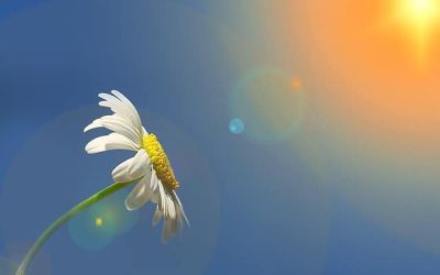 Programme estival Saint-Philippe