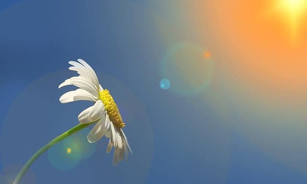 Programme estival Saint-Philippe