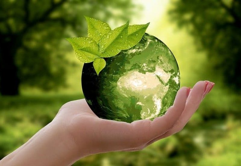 Développement durable environnement