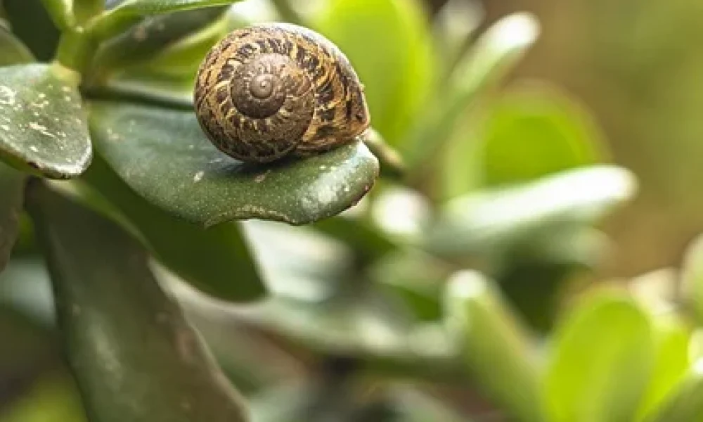 Nature-Action Québec lance une nouvelle campagne