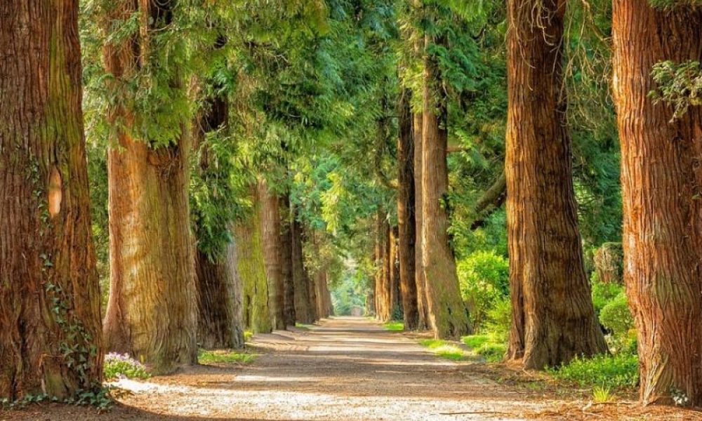 Les parcs municipaux se refont une beauté à Longueuil