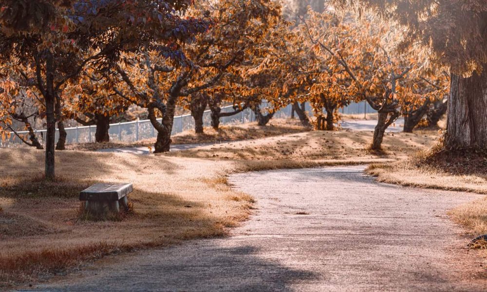 Des travaux à venir au parc du Vallon à Varennes 