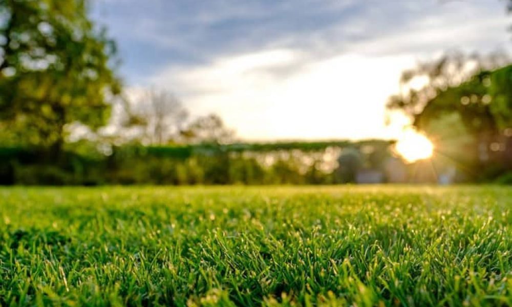 pesticide Boucherville