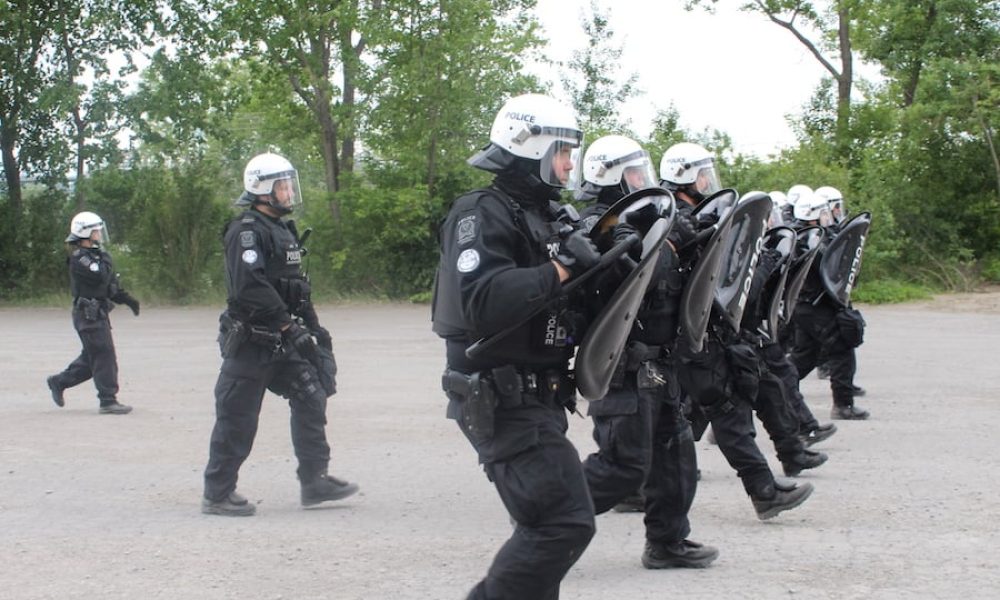 source : Eloïse Robert