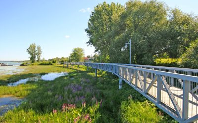 Article: La MRC de Marguerite-D’Youville adopte son Plan Climat 2026-2036 