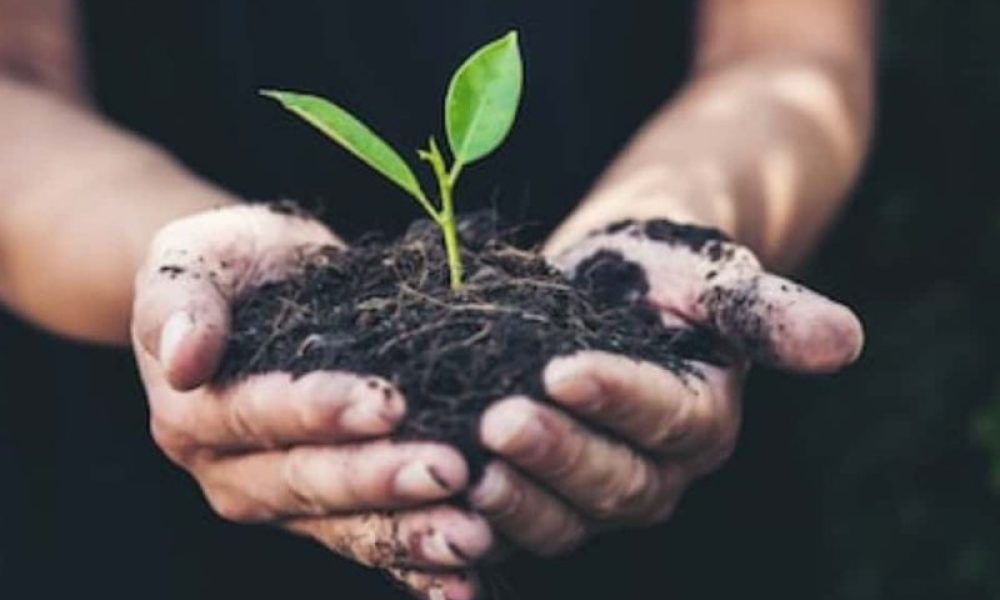 Plantation de 350 arbres pour les 350 ans de Varennes