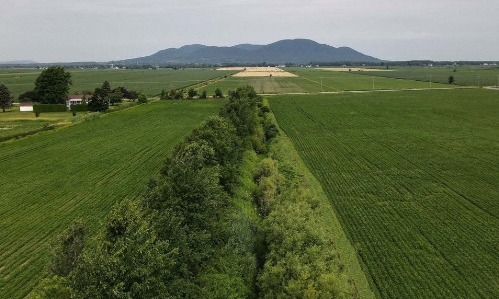Agriculture durable et biodiversité avec ALUS en Montérégie