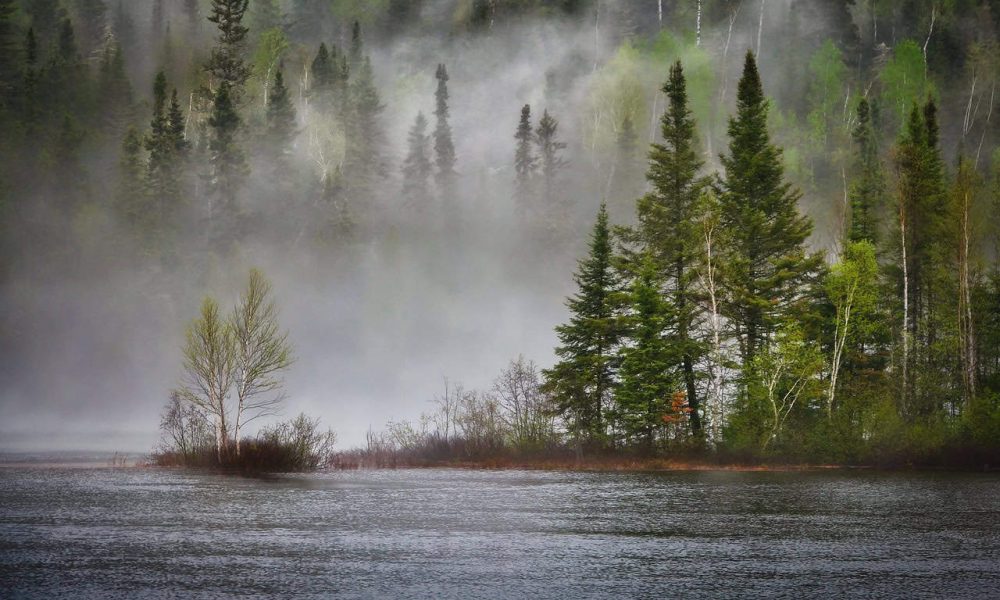 La biodiversité à l’honneur lors du Défi nature urbaine Sainte-Julie