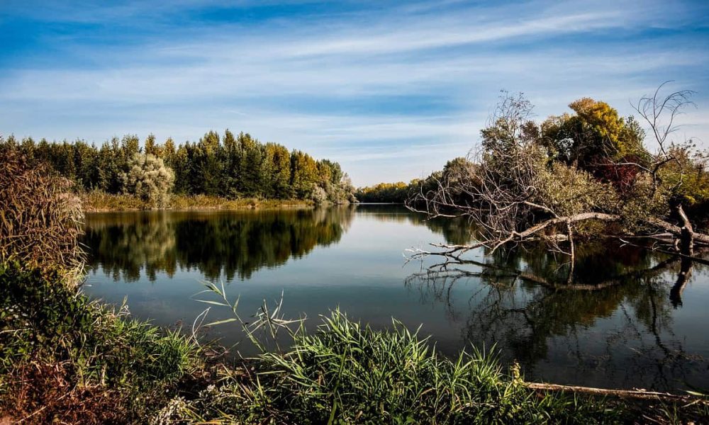 Un corridor de biodiversité prend forme à Sainte-Catherine 