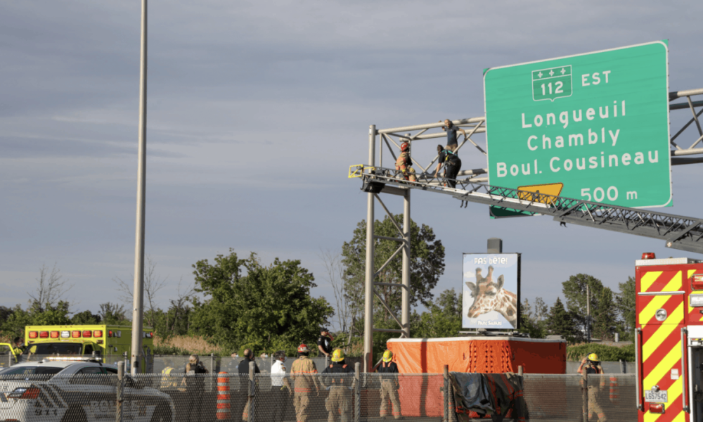 Un homme sème l'émoi sur la route 116 à Longueuil