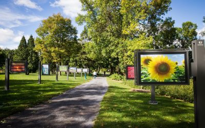 La Ville de Candiac invite les artistes professionnels à soumettre leurs œuvres avant le 28 septembre, dans le cadre de l’enrichissement de sa collection municipale.