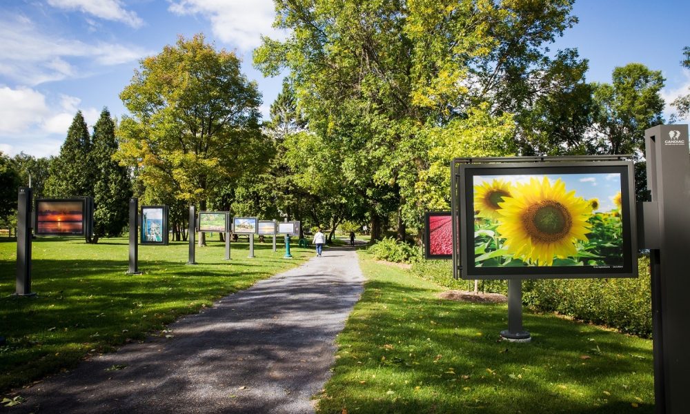 La Ville de Candiac invite les artistes professionnels à soumettre leurs œuvres avant le 28 septembre, dans le cadre de l’enrichissement de sa collection municipale.