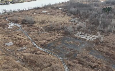 Northvolt : des citoyens ne veulent rien savoir du début des travaux