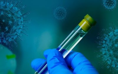 stay-at-home-5000634_960_720