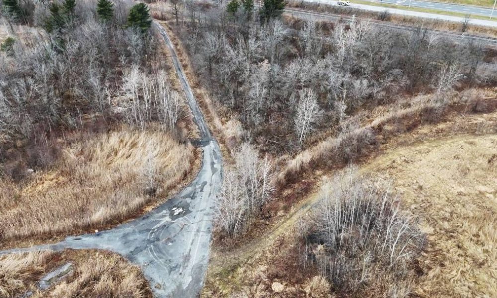 Northvolt : un partenariat pour redistribuer le bois coupé