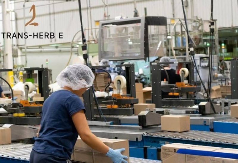 TransHerbe de SaintBruno va se convertir au numérique FM 103,3