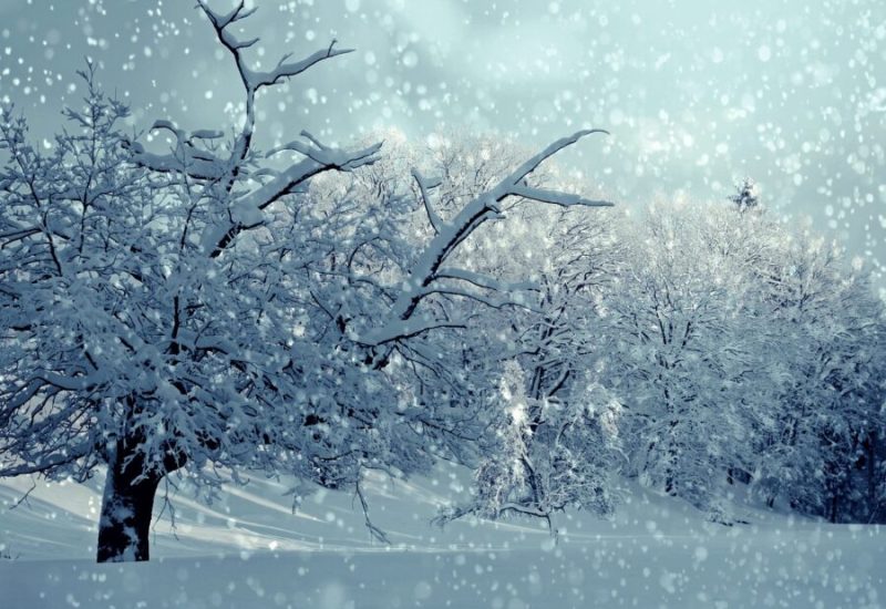 Dans la région métropolitaine de Montréal, la neige doit commencer à tomber vendredi matin, puis s'intensifier en début de soirée. Photo: Pixabay