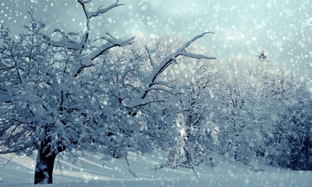 Importante tempête sur la région