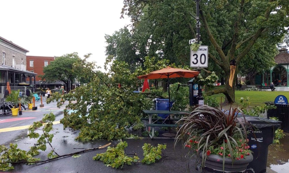 Les vents causent des pannes et des bris d'arbres