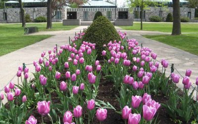 urbanisme Boucherville