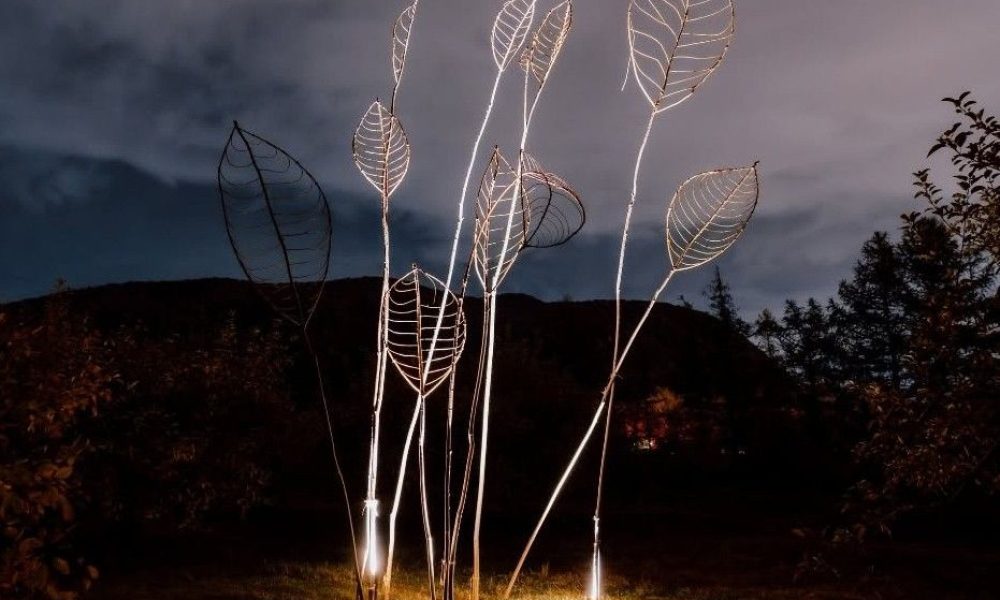 artistes,art,oeuvres,naturels,branches,créations,ville,vues,éclairage,soleil,visite,événement,verger